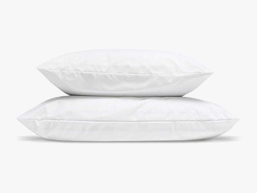 Pillow Protector Two Pillow Sizes
